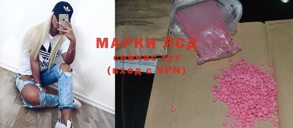 стафф Дмитров