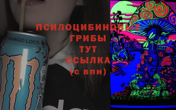 стафф Дмитров