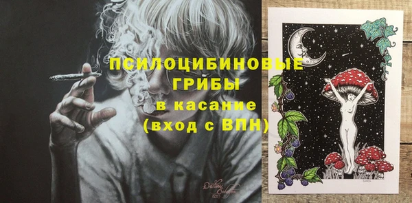 стафф Дмитров
