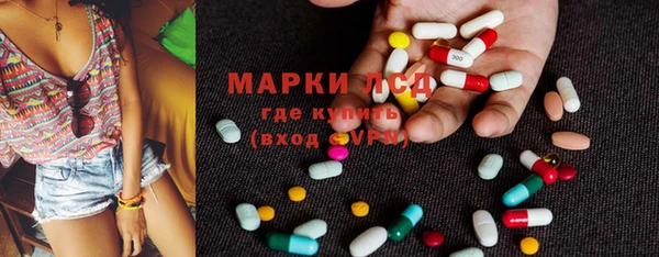 стафф Дмитров