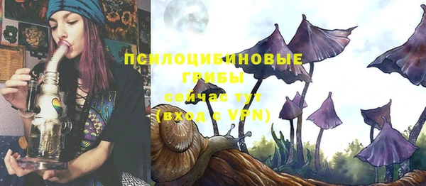 спиды Дмитровск