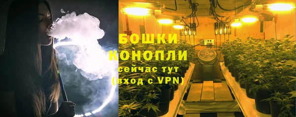 стафф Дмитров