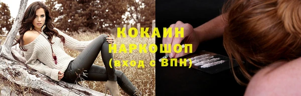 дживик Алагир