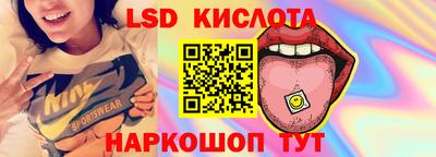 прущие грибы Краснодар