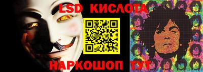 прущие грибы Краснодар