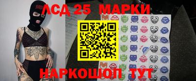прущие грибы Краснознаменск