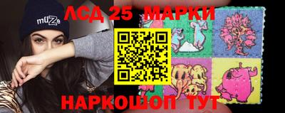 прущие грибы Краснознаменск