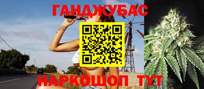 прущие грибы Краснодар