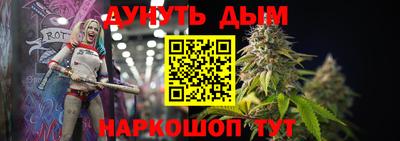 прущие грибы Краснознаменск