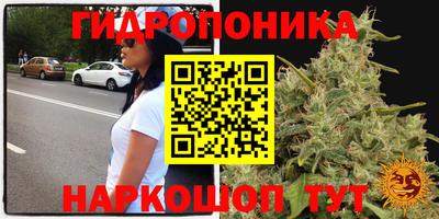 прущие грибы Краснодар