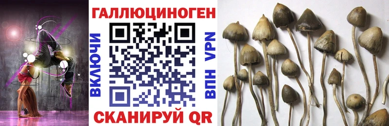 Галлюциногенные грибы MAGIC MUSHROOMS  даркнет сайт  Ирбит 