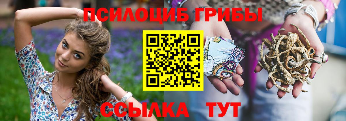Ирбит  Галлюциногенные грибы Psilocybe  Вход с VPN 